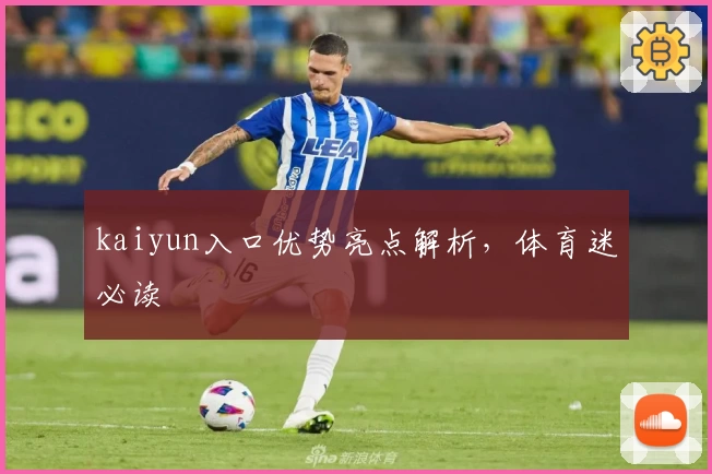 kaiyun入口优势亮点解析，体育迷必读