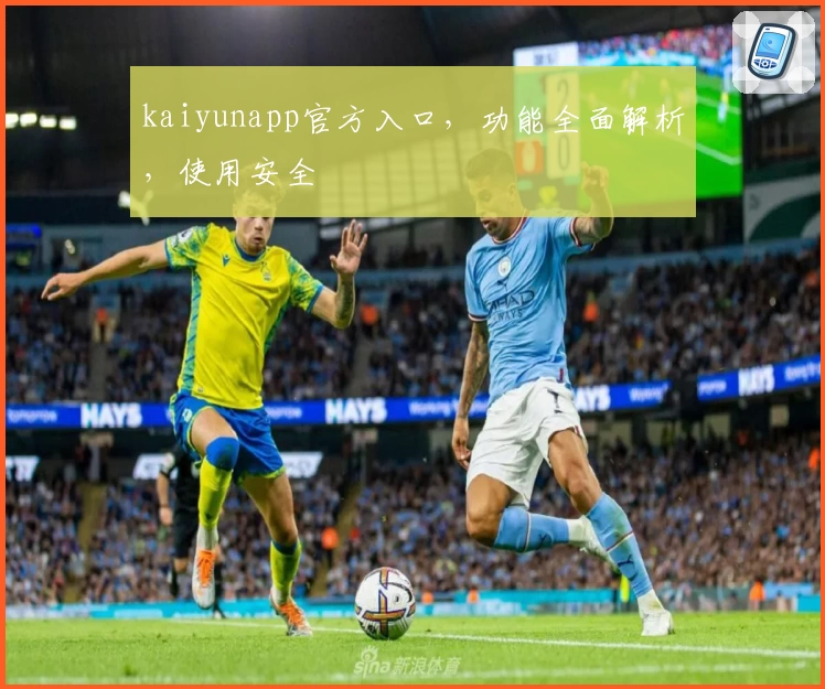 kaiyunapp官方入口，功能全面解析，使用安全