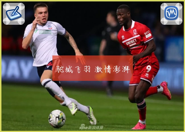 驼城飞羽 激情澎湃